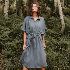 Dwight Button Collared Dress in Slate